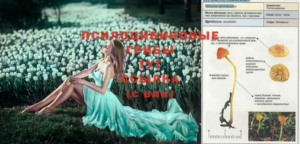 COCAINE Краснотурьинск