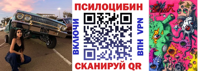 Купить  Белозерск  Псилоцибиновые грибы прущие грибы 
