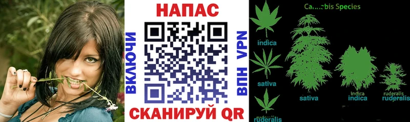 Каннабис тримм  Купить закладки  Белозерск 